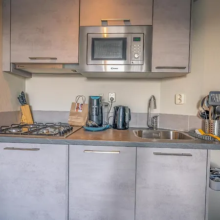 Apartman Zeedistel 24 *